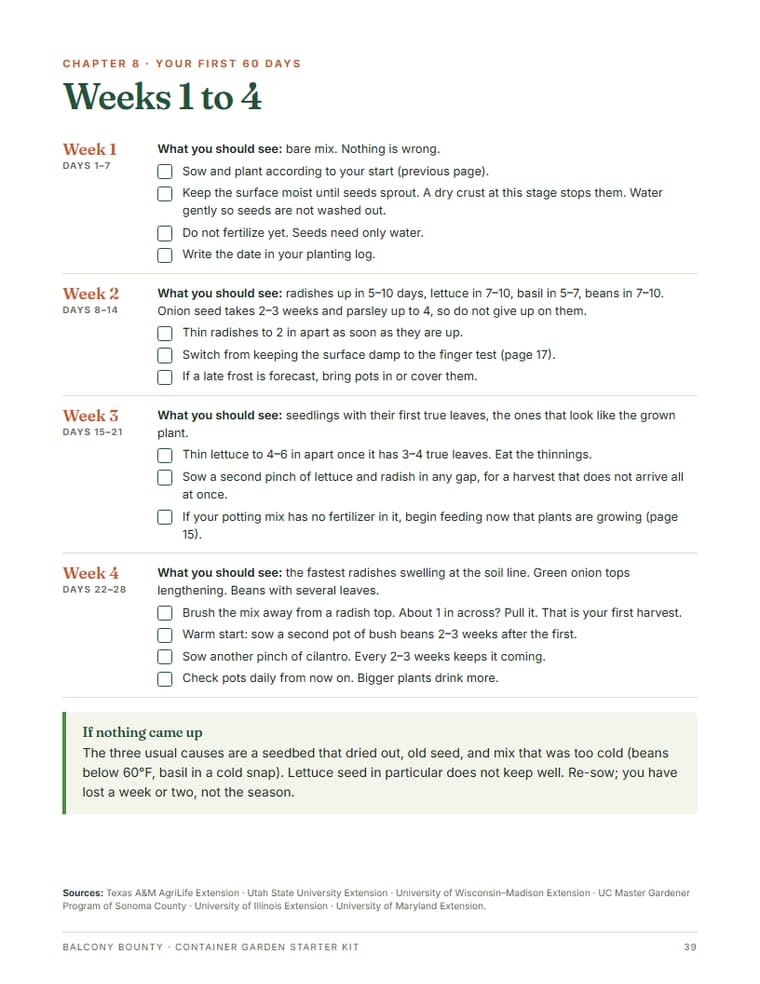 Weeks 1 to 4 of the 60-day plan