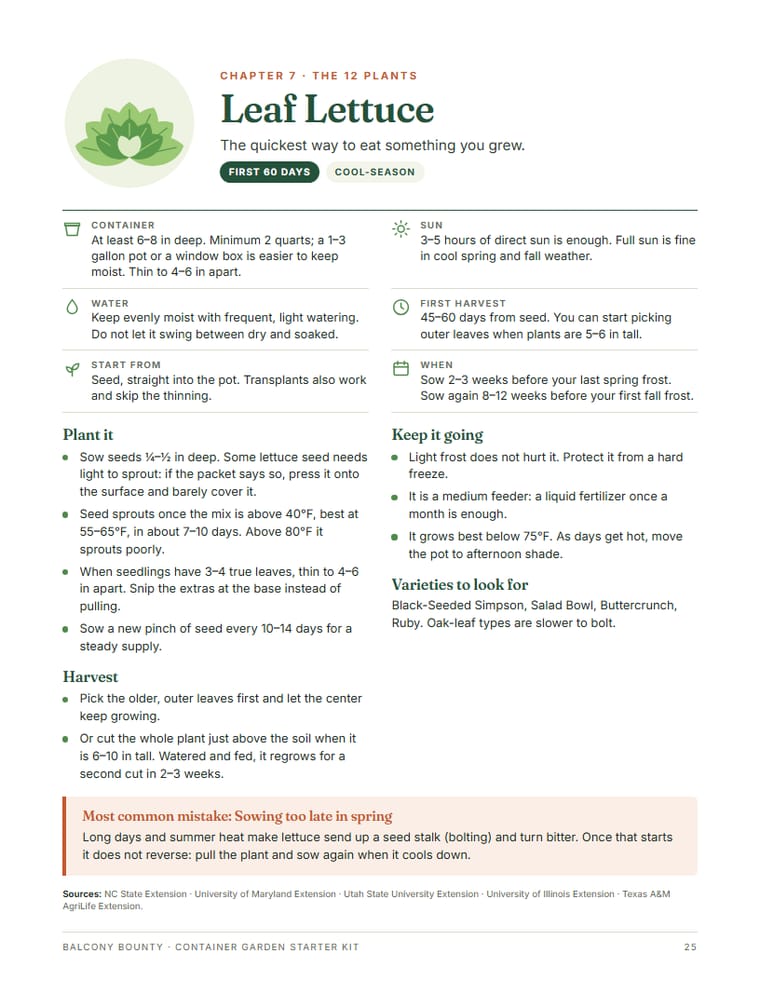 The leaf lettuce page of the guide